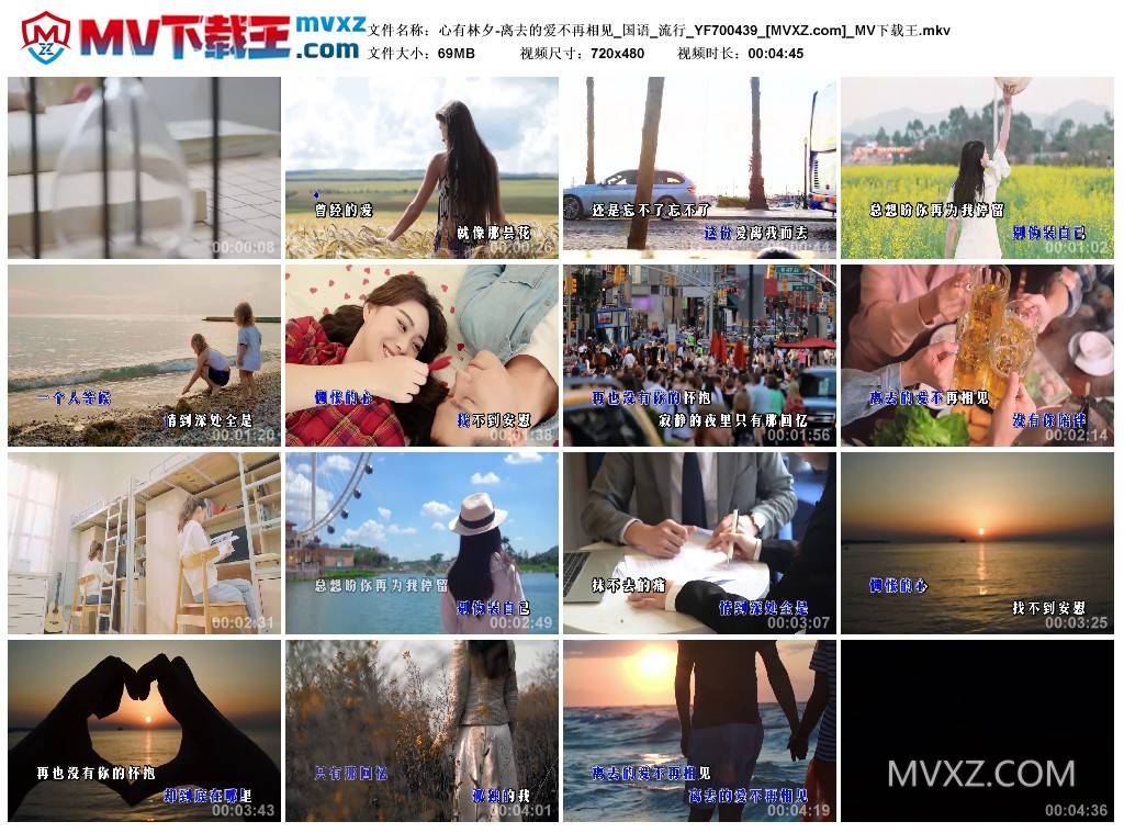 心有林夕-离去的爱不再相见_国语_流行_YF700439